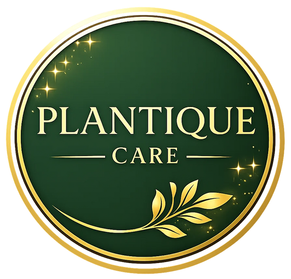 plantiquecare